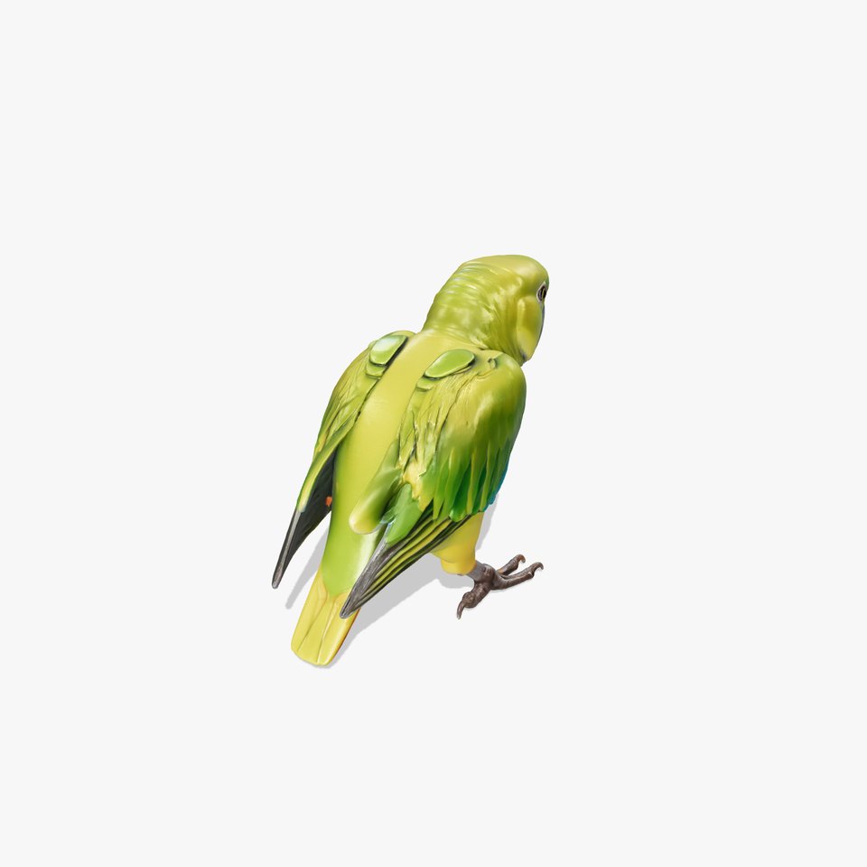 Amazon Parrot Realistic Bird 3D Model Pack